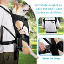 Pet Carrier Backpack – Comfortable Travel Bag for Dogs & Cats