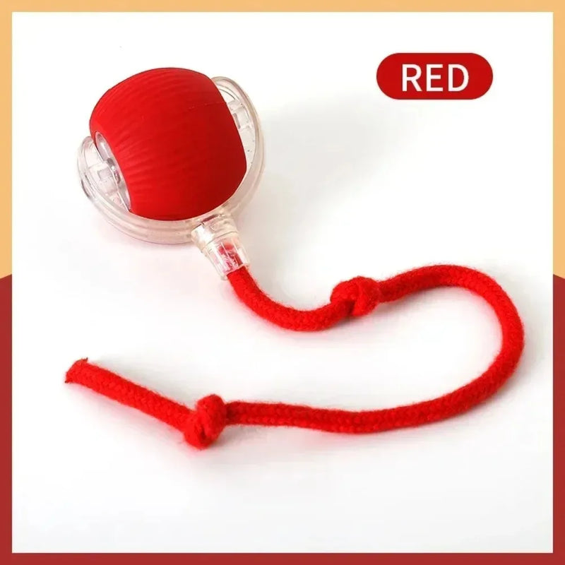 Smart Rolling Cat Toy – Interactive Electric Ball with Faux Tail