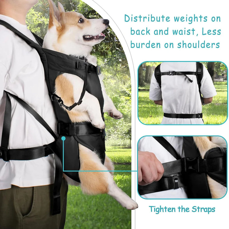 Pet Carrier Backpack – Comfortable Travel Bag for Dogs & Cats